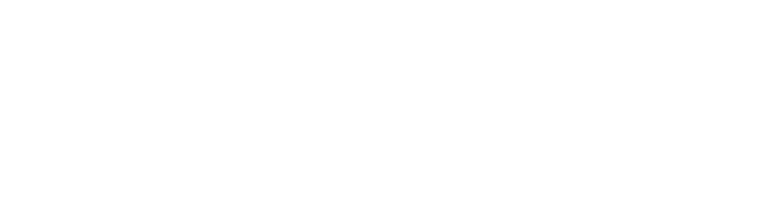 ariotek-w